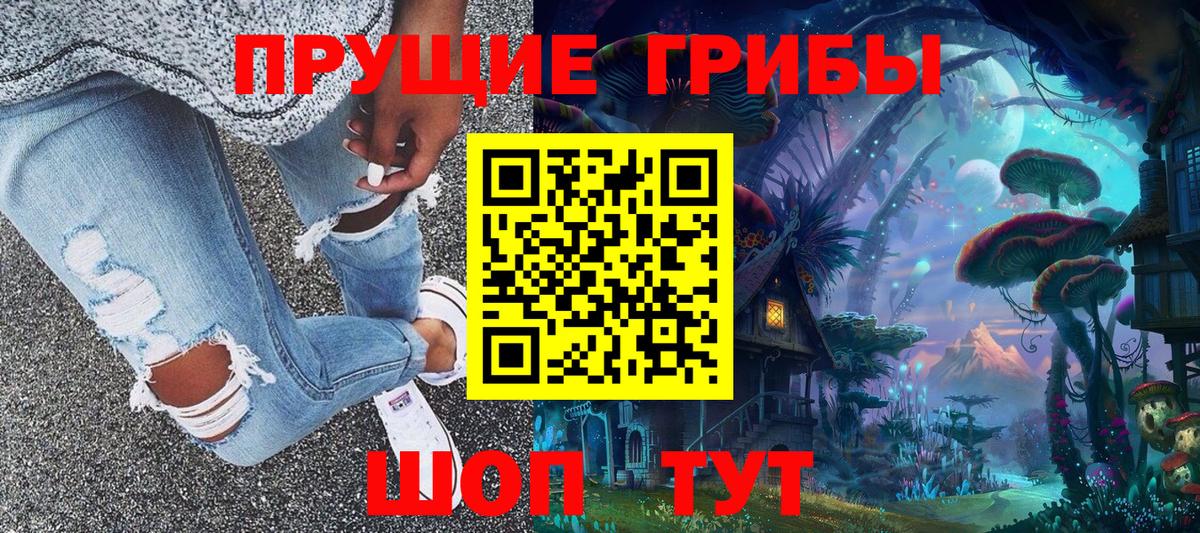 Вышний Волочёк  Галлюциногенные грибы Cubensis  Вход с VPN 